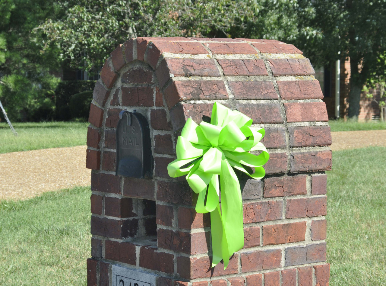 Green Bow on mailbox